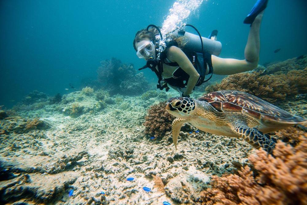 Cape Rose2 Hotel Gili Trawangan Eksteriør billede